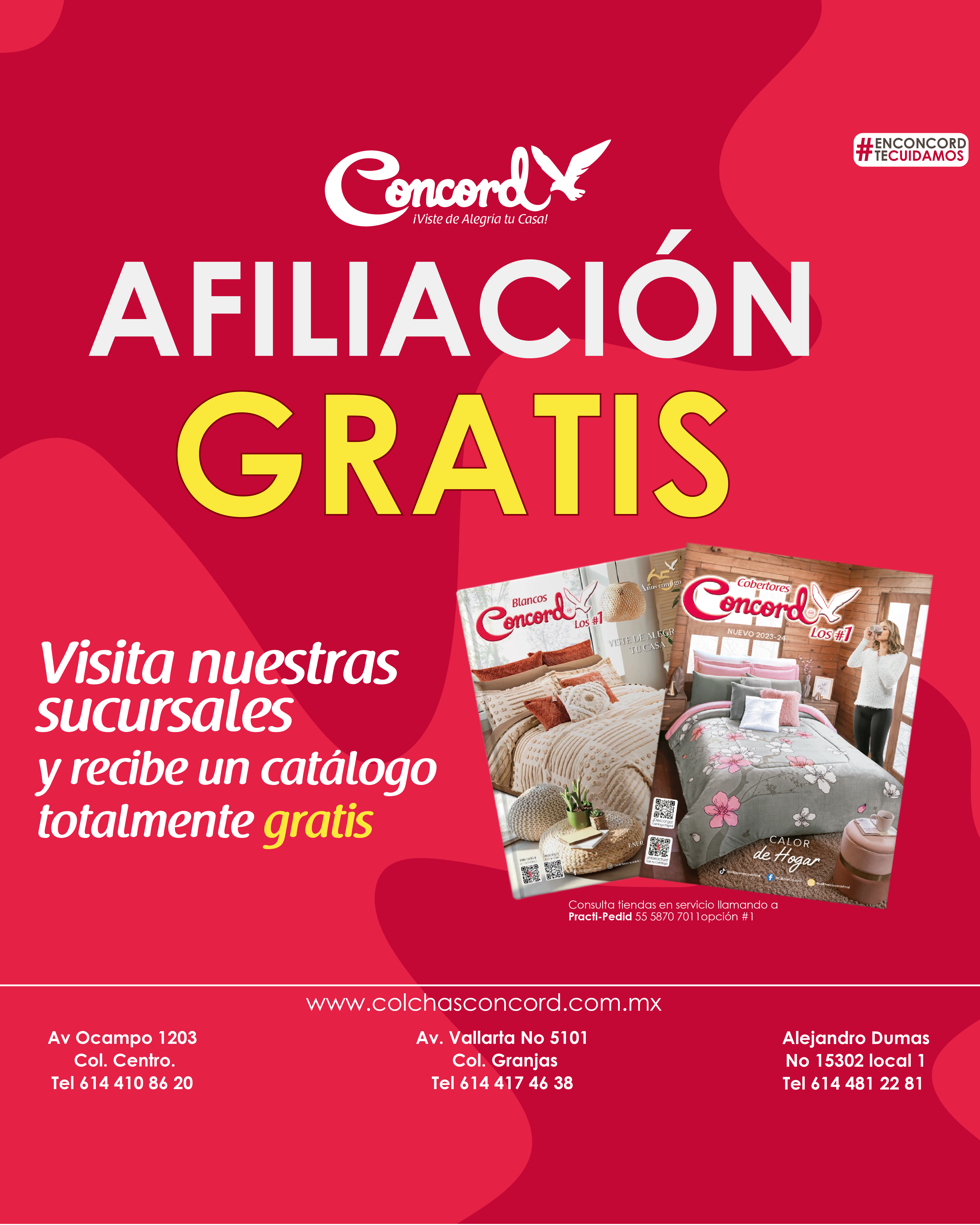 Diseño de redes sociales para psicólogos